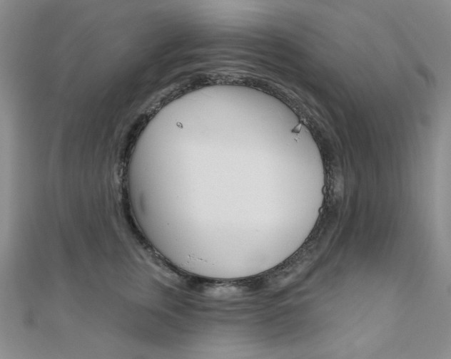 X0000110680759200906121035