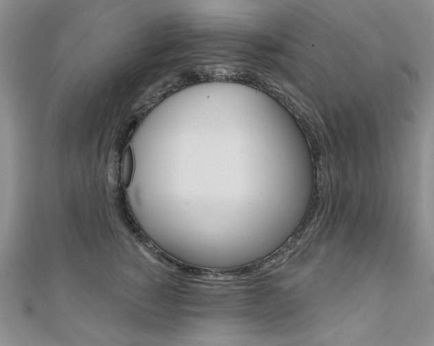 X0000110680760200906121035