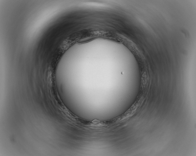 X0000110680762200906121035