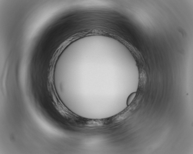 X0000110680765200906121035