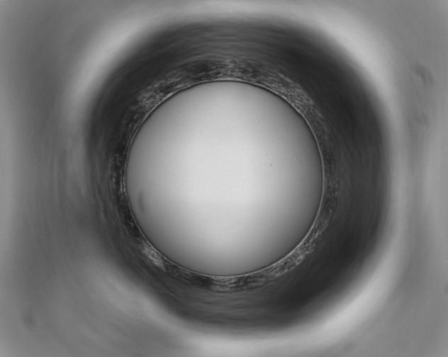 X0000110680766200906121035