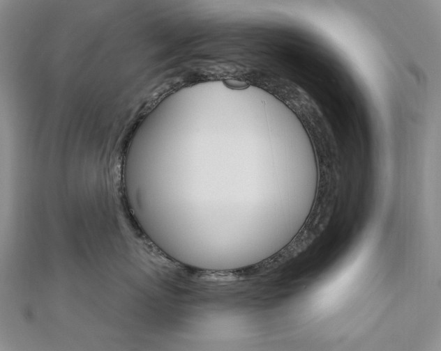X0000110680767200906121035