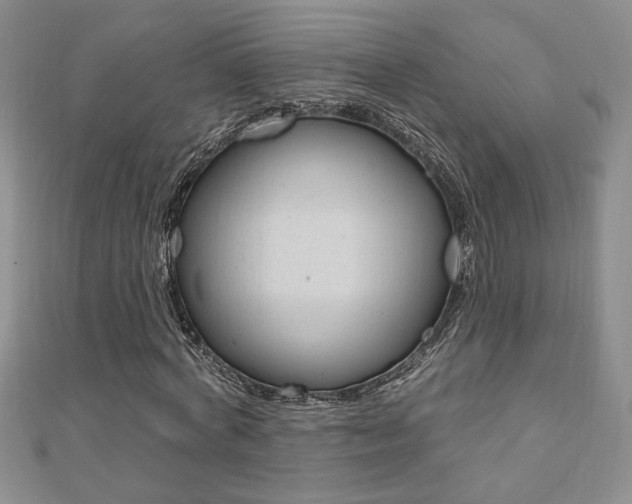 X0000110680772200906121034
