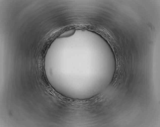X0000110680773200906121034
