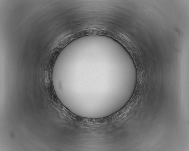 X0000110680774200906121034