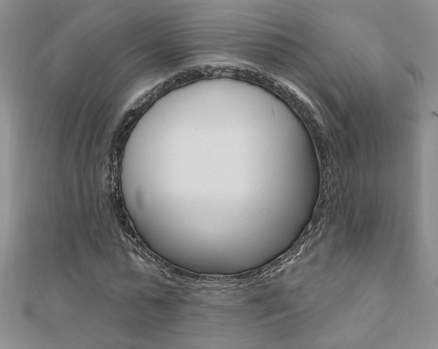 X0000110680775200906121034