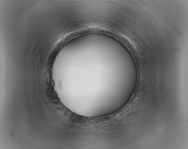 X0000110680776200906121034