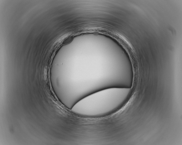 X0000110680777200906121034