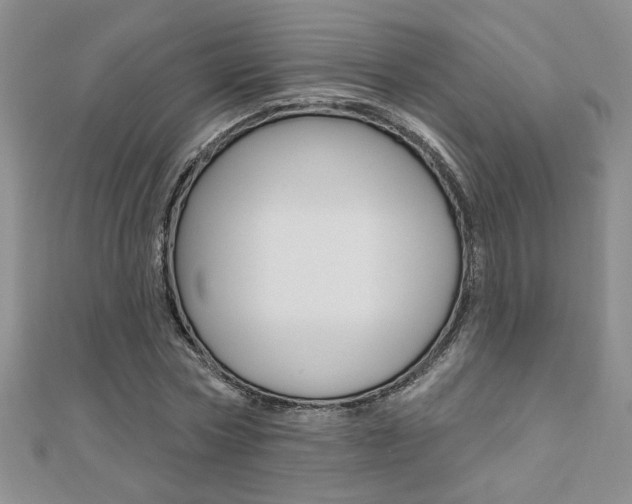 X0000110680778200906121034