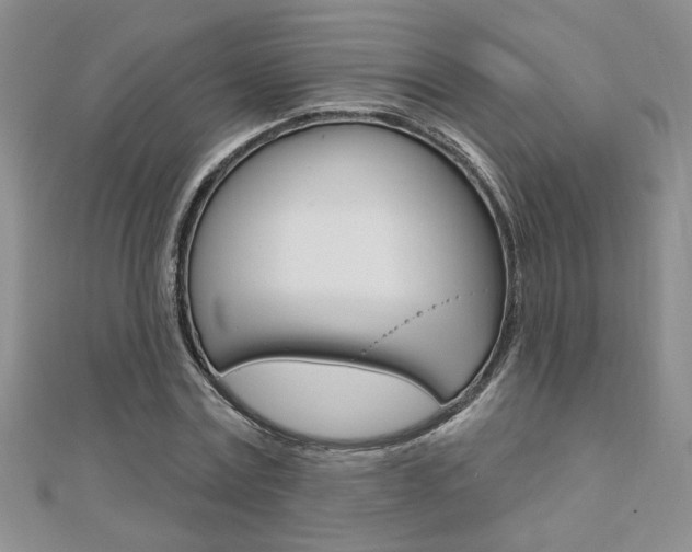 X0000110680779200906121034