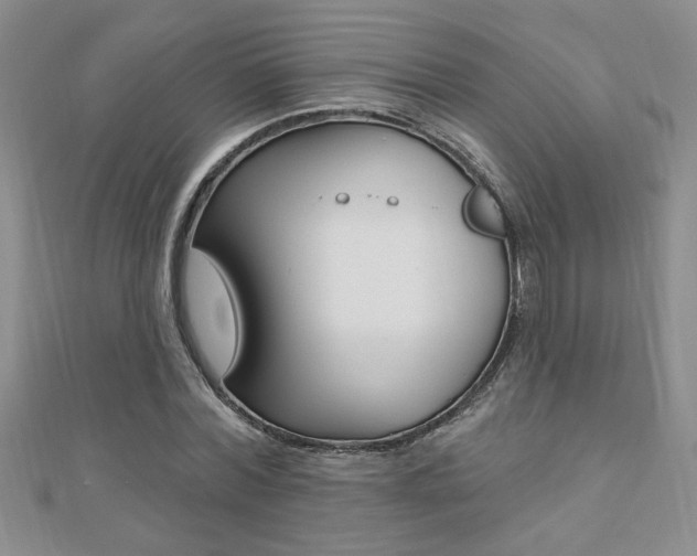 X0000110680780200906121034