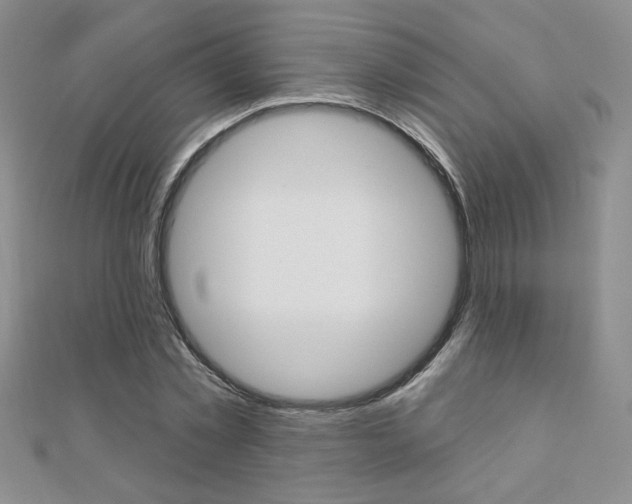 X0000110680781200906121034