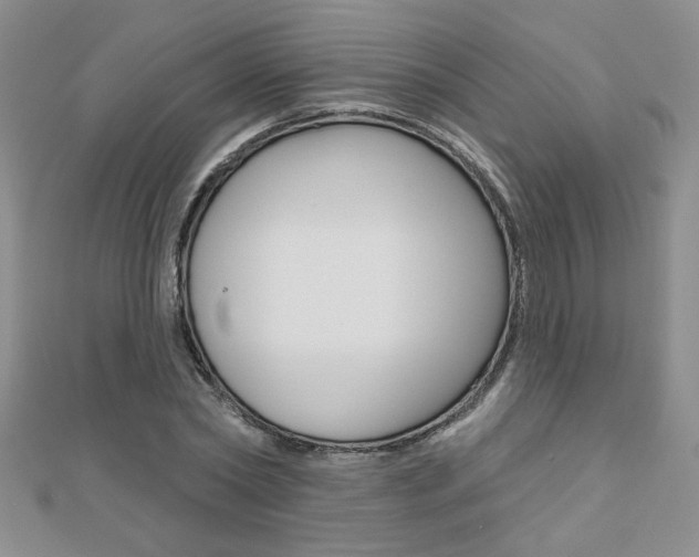 X0000110680782200906121034