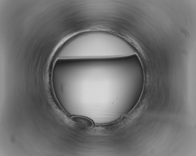 X0000110680784200906121034