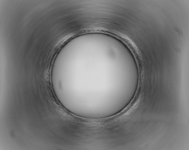 X0000110680785200906121034