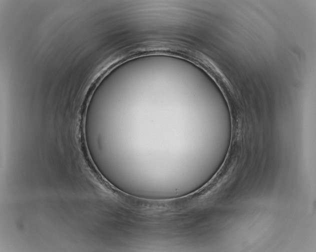 X0000110680786200906121034