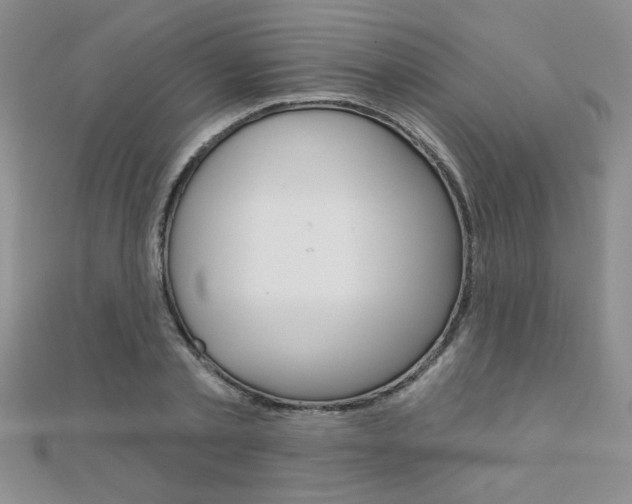 X0000110680789200906121034