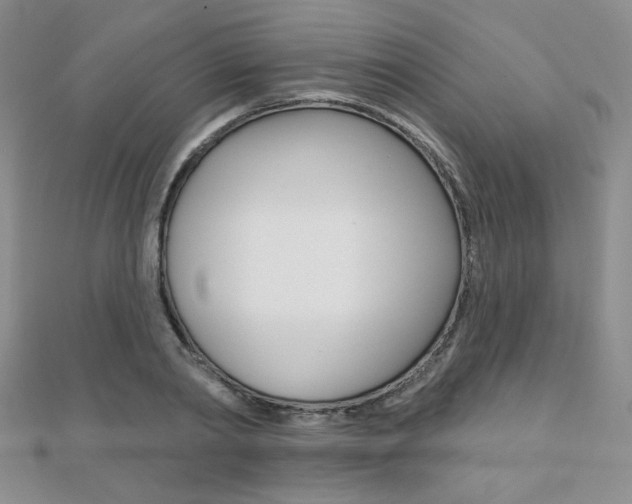 X0000110680790200906121034