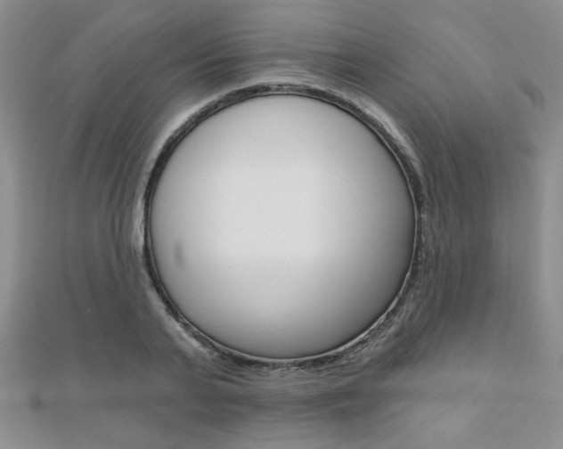 X0000110680791200906121034