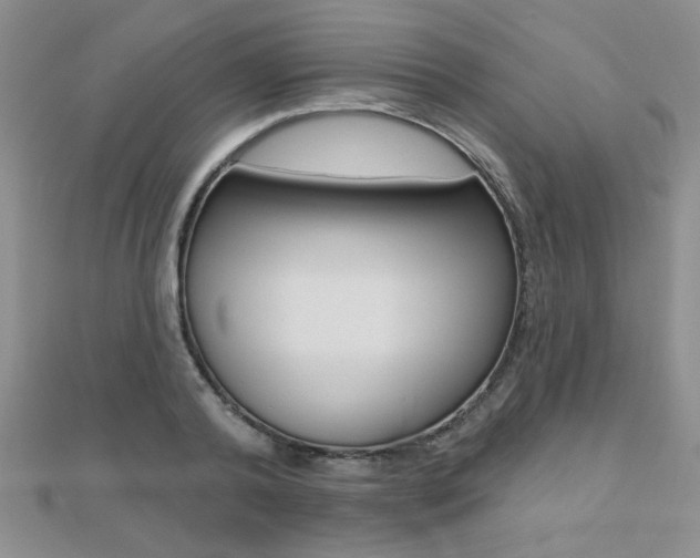 X0000110680792200906121034