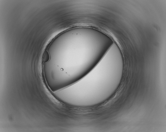 X0000110680795200906121034