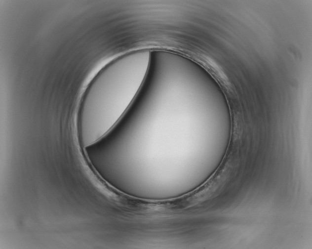 X0000110680796200906121034
