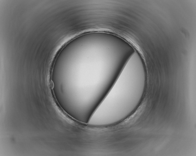 X0000110680797200906121034