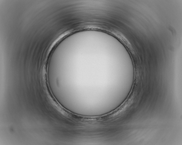 X0000110680798200906121034