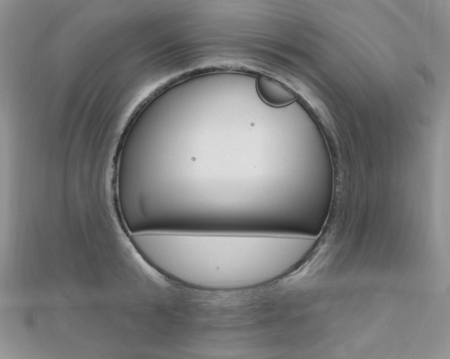 X0000110680799200906121034