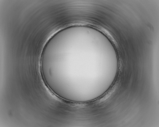 X0000110680802200906121034