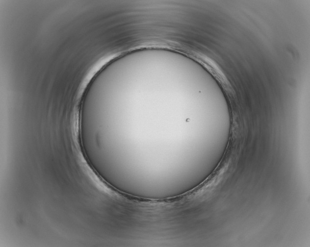 X0000110680804200906121034