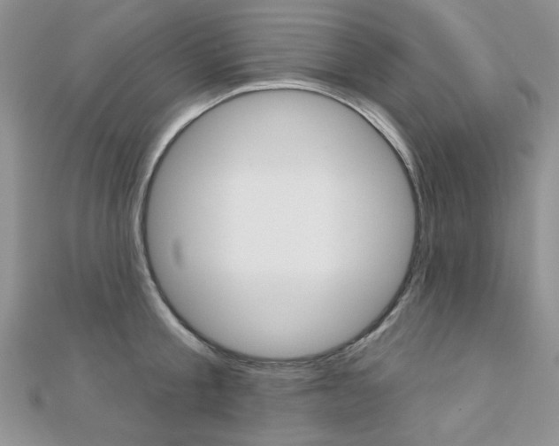 X0000110680805200906121034