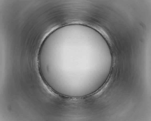 X0000110680806200906121034