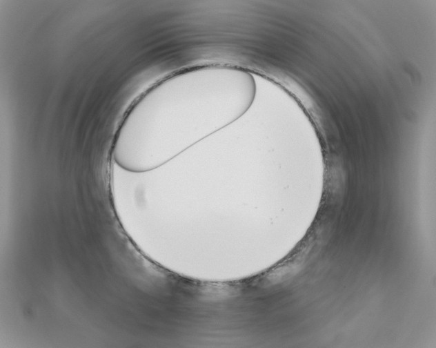 X0000110680807200906121034