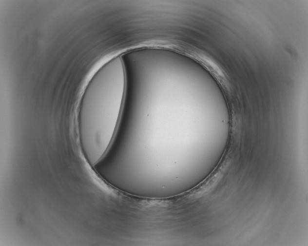 X0000110680808200906121034