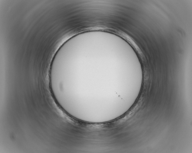X0000110680810200906121034
