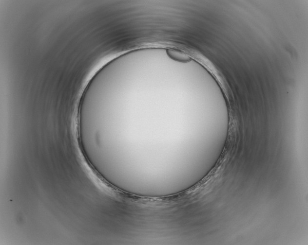 X0000110680811200906121034