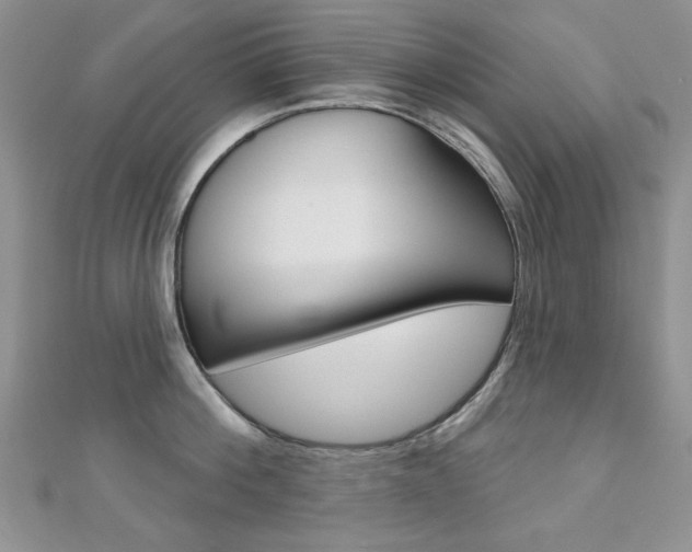 X0000110680812200906121034
