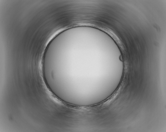 X0000110680814200906121034