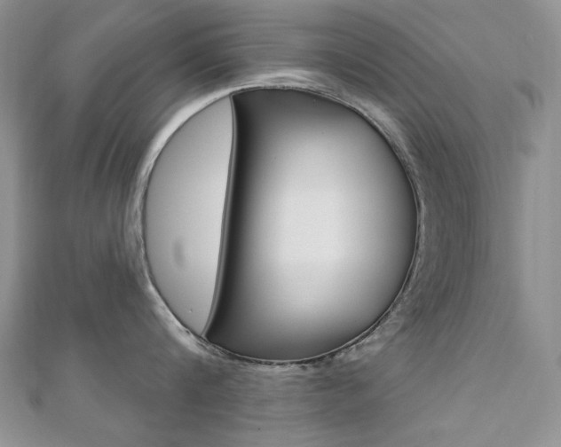 X0000110680816200906121034