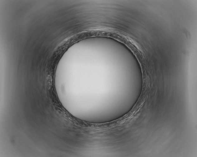 X0000110680821200906121033