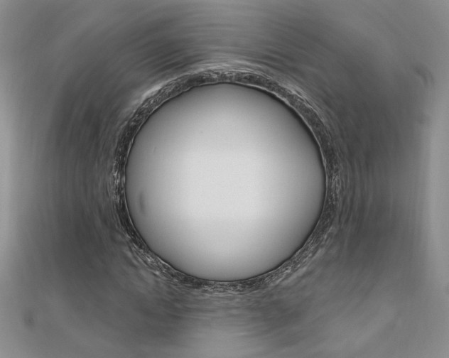 X0000110680822200906121033