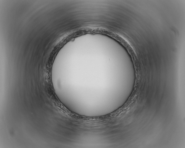 X0000110680823200906121033