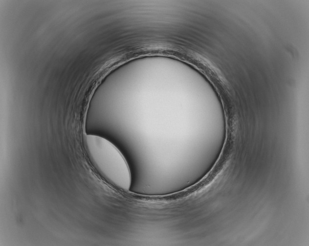 X0000110680825200906121033