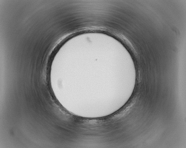X0000110680828200906121033