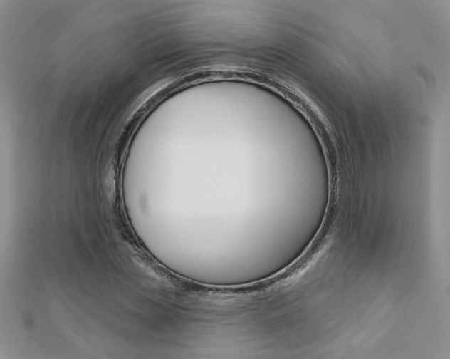 X0000110680829200906121033