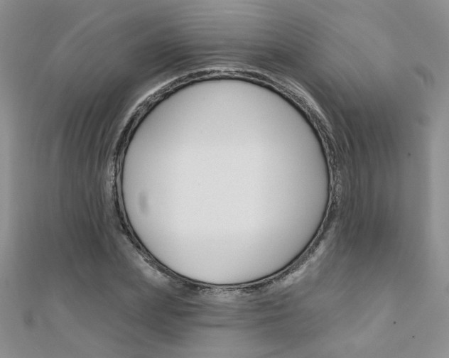 X0000110680831200906121033