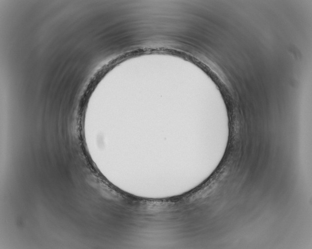 X0000110680832200906121033
