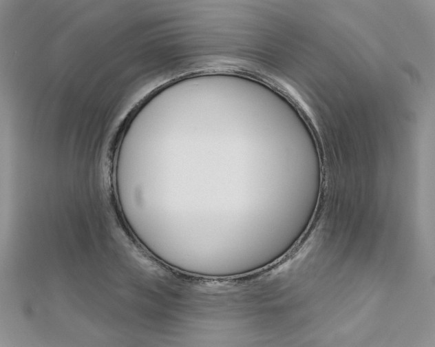 X0000110680835200906121033