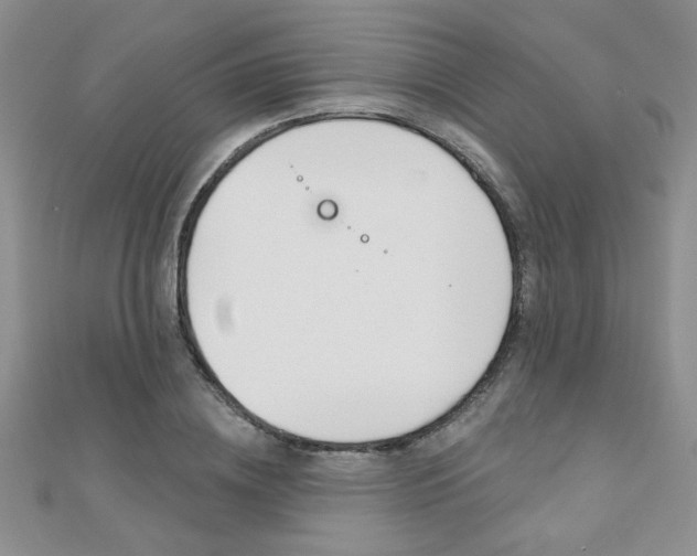 X0000110680836200906121033